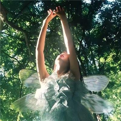 一条叫旺达的鱼